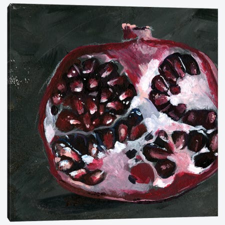 Pomegranate Study on Black I Canvas Print #JPP133} by Jennifer Paxton Parker Canvas Artwork