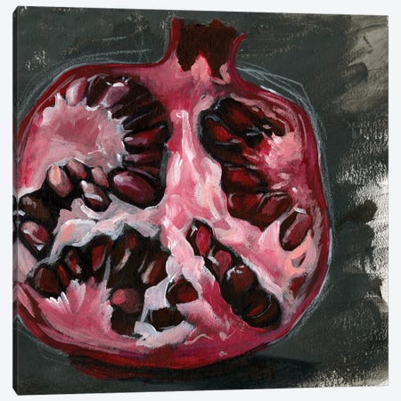 Pomegranate Study on Black II Canvas Print #JPP134} by Jennifer Paxton Parker Art Print