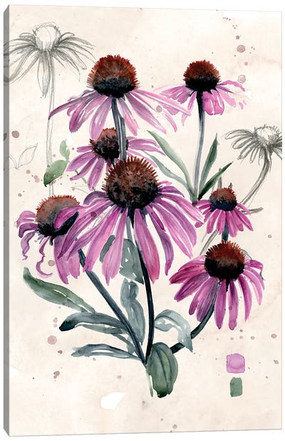 Purple Wildflowers I Canvas Art Print - Botanical Illustrations