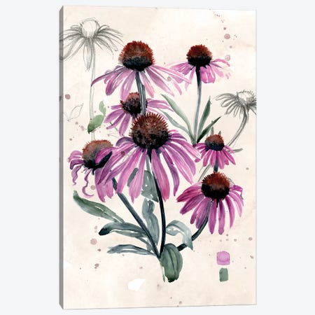 Purple Wildflowers I Canvas Print #JPP135} by Jennifer Paxton Parker Canvas Print