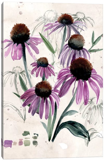 Purple Wildflowers II Canvas Art Print - Botanical Illustrations
