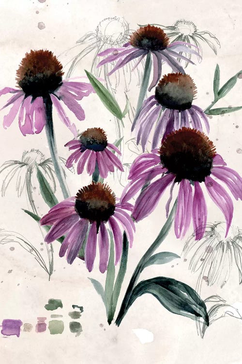 Purple Wildflowers II by Jennifer Paxton Parker wall art