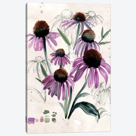 Purple Wildflowers II Canvas Print #JPP136} by Jennifer Paxton Parker Canvas Print