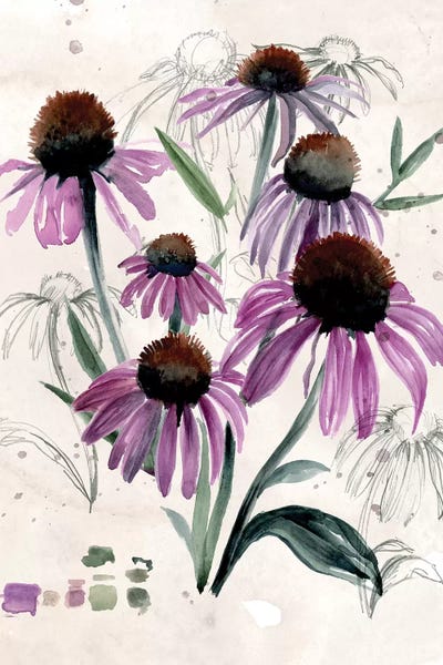Botanical Illustrations: Purple Wildflowers II by Jennifer Paxton Parker