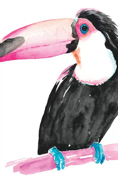 Technicolor Toucan II by Jennifer Paxton Parker canvas print