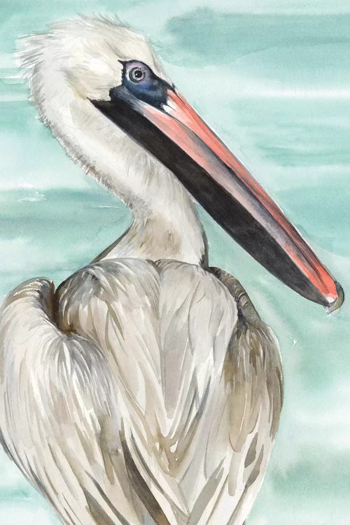 Turquoise Pelican I by Jennifer Paxton Parker wall art