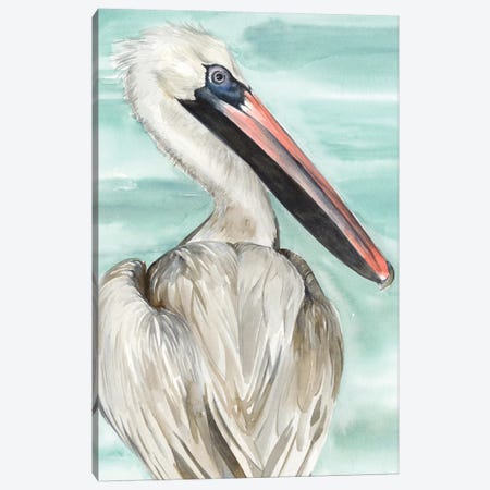 Turquoise Pelican I Canvas Print #JPP149} by Jennifer Paxton Parker Art Print