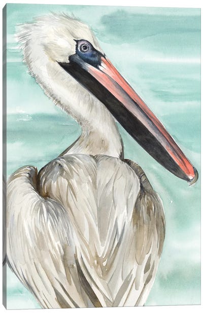 Turquoise Pelican I Canvas Art Print - Jennifer Paxton Parker