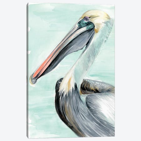 Turquoise Pelican II Canvas Print #JPP150} by Jennifer Paxton Parker Canvas Artwork