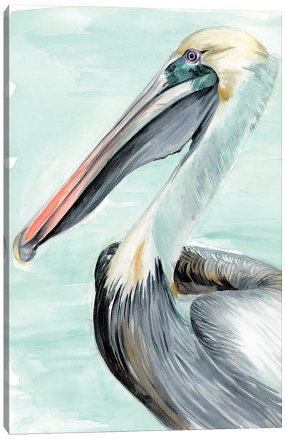 Turquoise Pelican II Canvas Art Print - Beach Décor