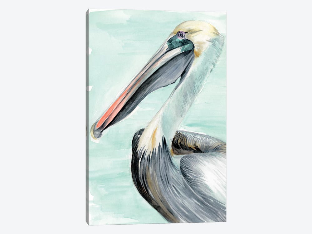 Turquoise Pelican II by Jennifer Paxton Parker 1-piece Canvas Art