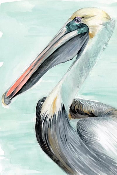 Nautical Décor: Turquoise Pelican II by Jennifer Paxton Parker