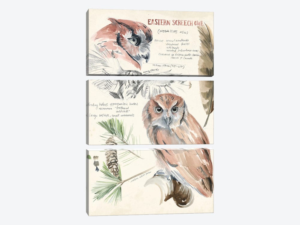 Wildlife Journals I 3-piece Canvas Art Print
