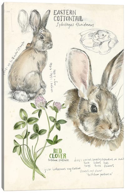 Wildlife Journals II Canvas Art Print - Jennifer Paxton Parker