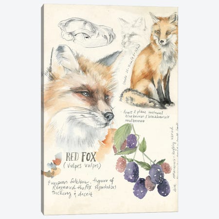 Wildlife Journals III Canvas Print #JPP155} by Jennifer Paxton Parker Canvas Art Print