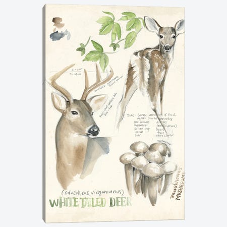 Wildlife Journals IV Canvas Print #JPP156} by Jennifer Paxton Parker Canvas Print