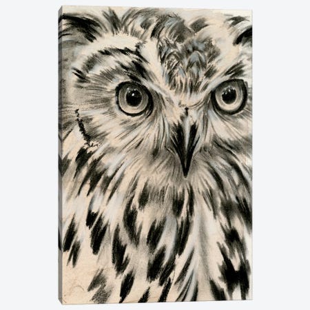 Charcoal Owl I Canvas Print #JPP159} by Jennifer Paxton Parker Canvas Wall Art