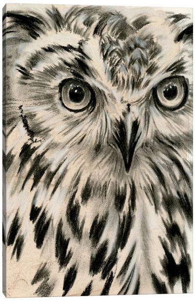 Charcoal Owl I Canvas Art Print - Owl Art