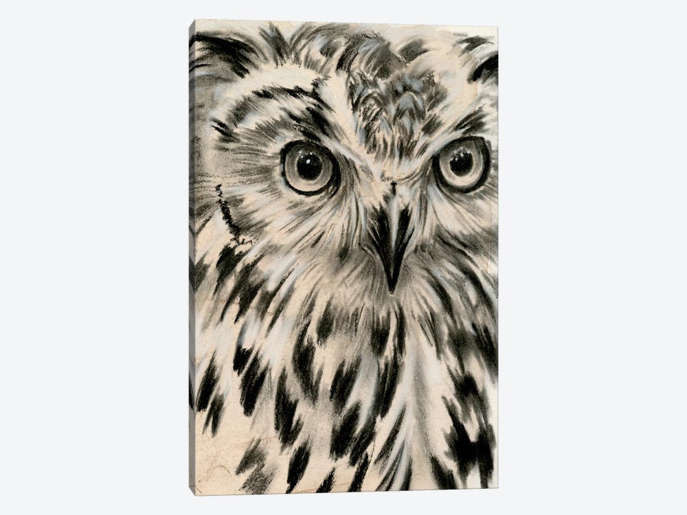 Charcoal Owl I by Jennifer Paxton Parker 1-piece Art Print