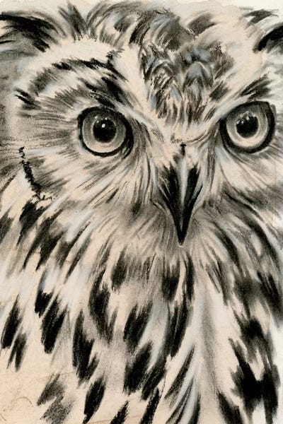 World Art Group: Charcoal Owl I by Jennifer Paxton Parker