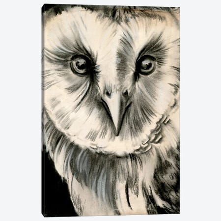 Charcoal Owl II Canvas Print #JPP160} by Jennifer Paxton Parker Canvas Art Print