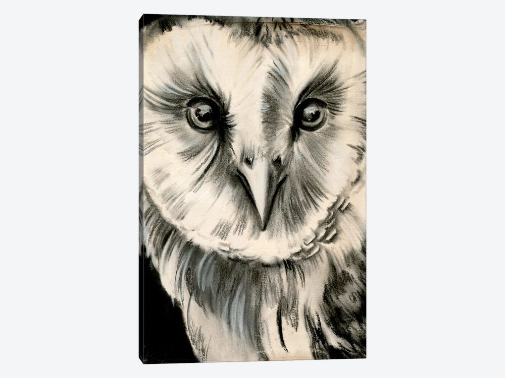 Charcoal Owl II by Jennifer Paxton Parker 1-piece Canvas Print