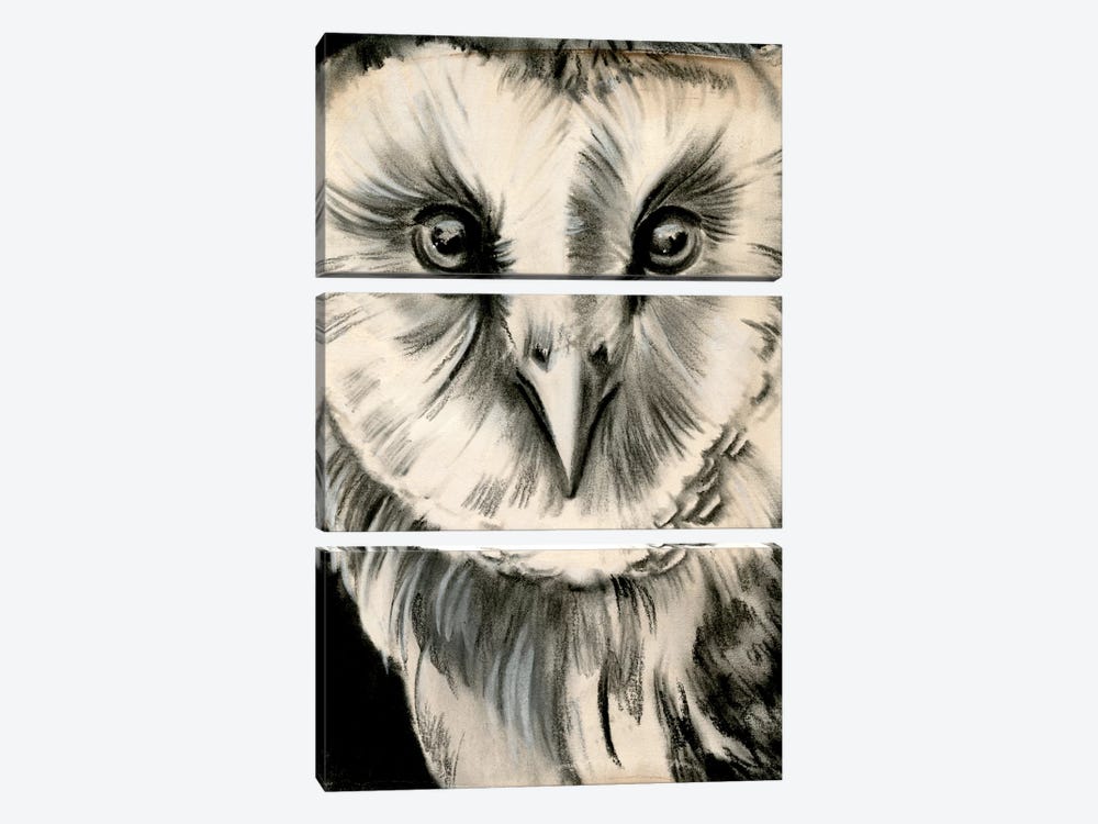 Charcoal Owl II by Jennifer Paxton Parker 3-piece Art Print