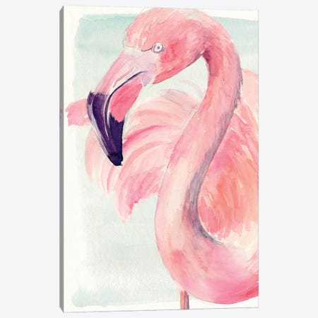 Pastel Flamingo I Canvas Print #JPP183} by Jennifer Paxton Parker Canvas Print
