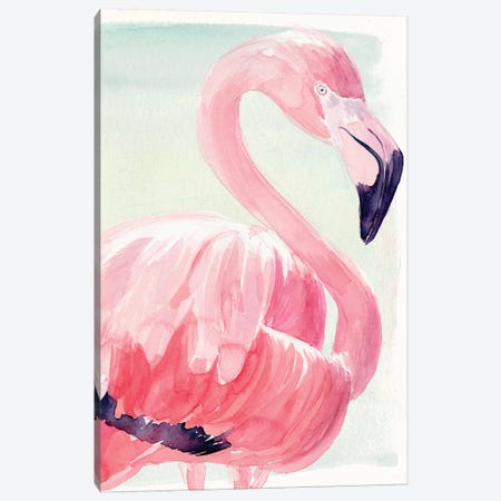 Pastel Flamingo II Canvas Print #JPP184} by Jennifer Paxton Parker Canvas Art