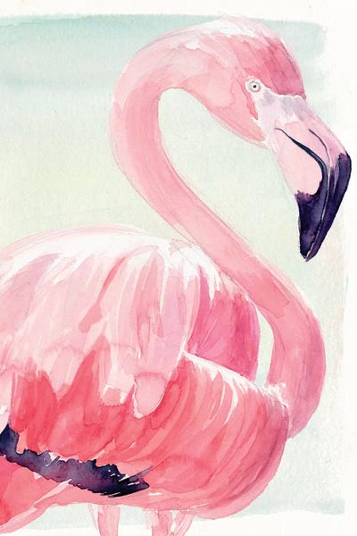 Flamingos: Pastel Flamingo II by Jennifer Paxton Parker