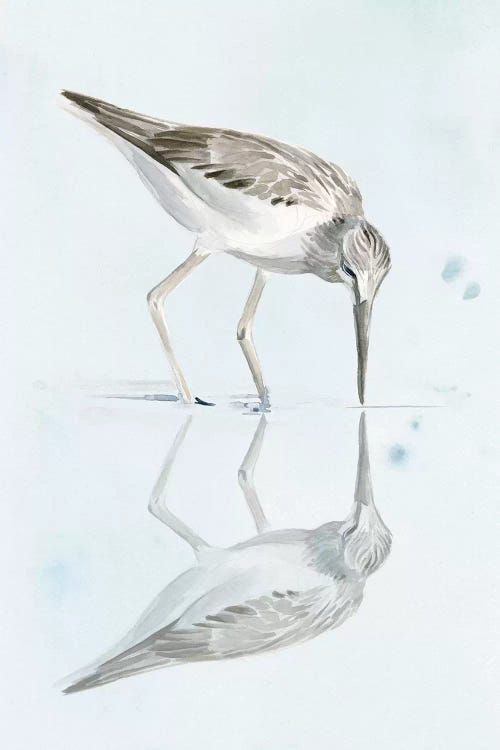 Sandpiper Reflections I by Jennifer Paxton Parker wall art