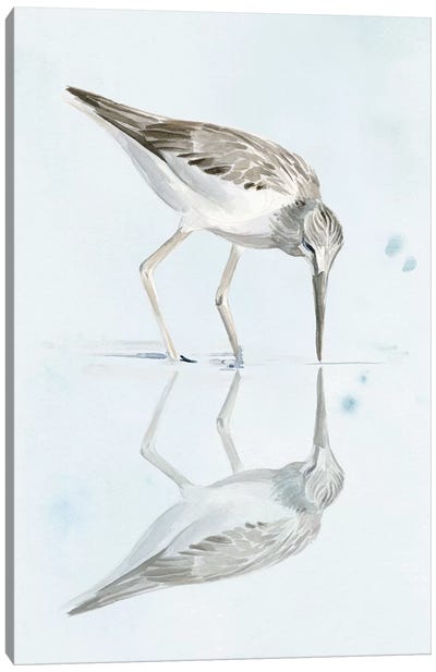 Sandpiper Reflections I Canvas Art Print - Jennifer Paxton Parker