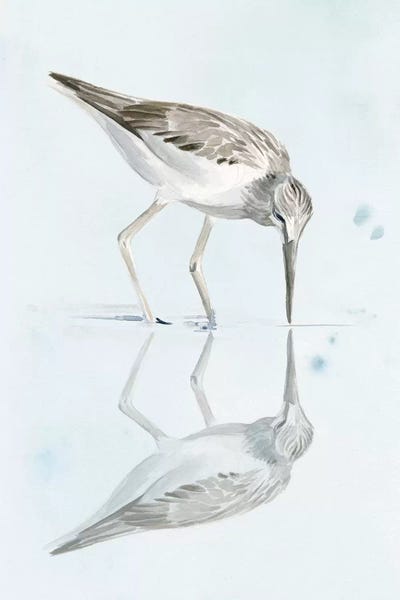 World Art Group: Sandpiper Reflections I by Jennifer Paxton Parker