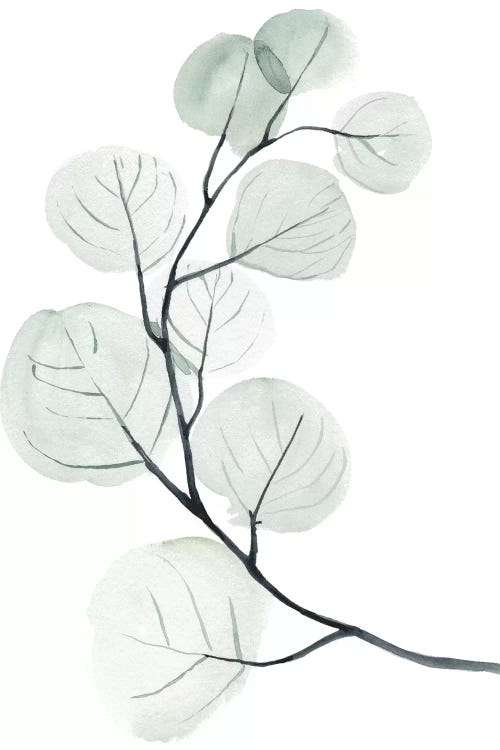 Silver Dollars I by Jennifer Paxton Parker wall art