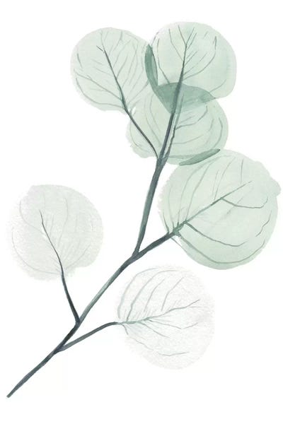 Silver Dollars II by Jennifer Paxton Parker multi panel art