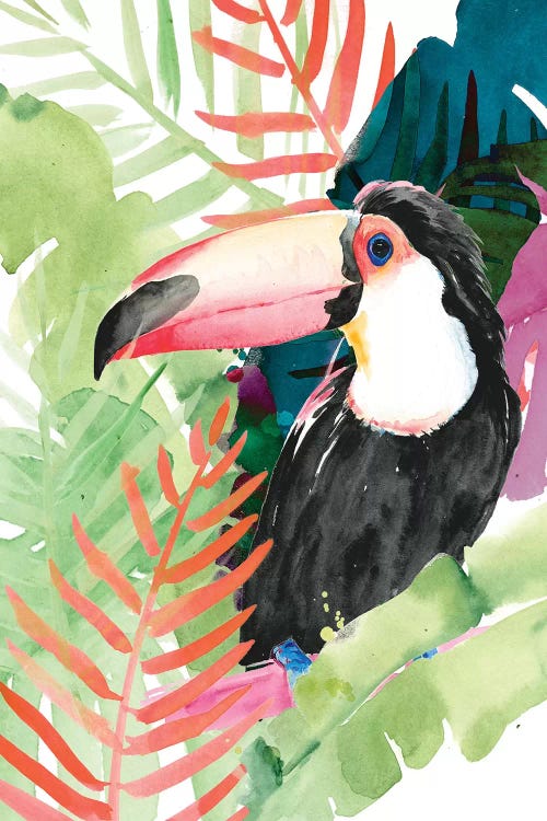 Toucan Palms I