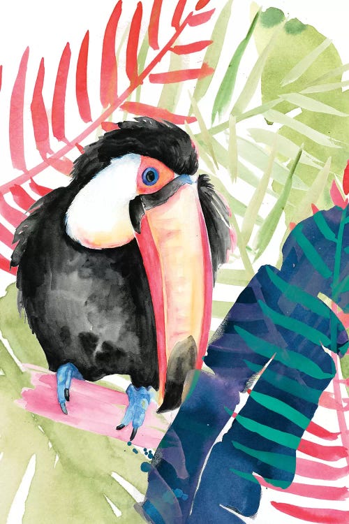 Toucan Palms II