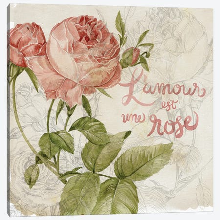 Rose Romance I Canvas Print #JPP19} by Jennifer Paxton Parker Canvas Art