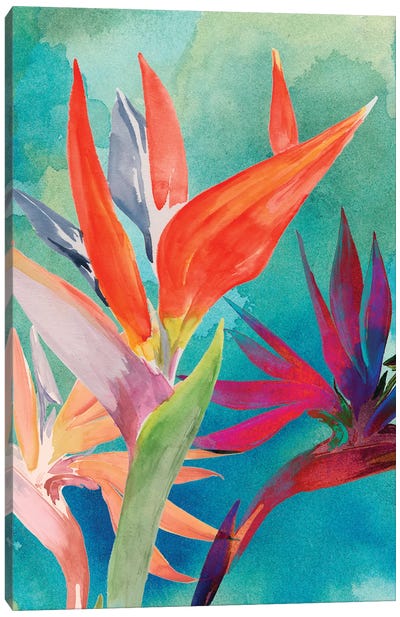 Vivid Birds of Paradise I Canvas Art Print - Watercolor Flowers