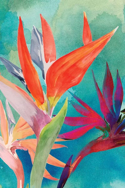 Tropical Leaves: Vivid Birds of Paradise I by Jennifer Paxton Parker