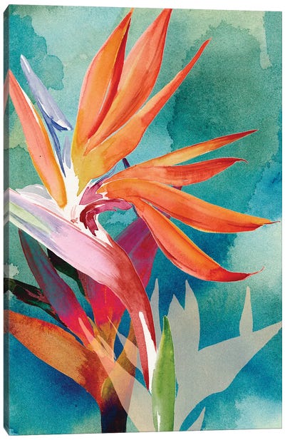 Vivid Birds of Paradise II Canvas Art Print - Leaf Art