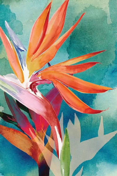 Large Wall Art & Big Canvas Prints: Vivid Birds of Paradise II by Jennifer Paxton Parker