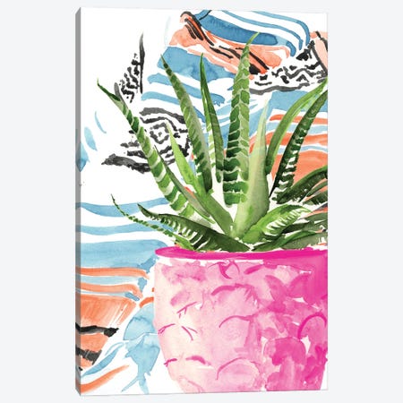 Zebra Succulent I Canvas Print #JPP203} by Jennifer Paxton Parker Canvas Artwork