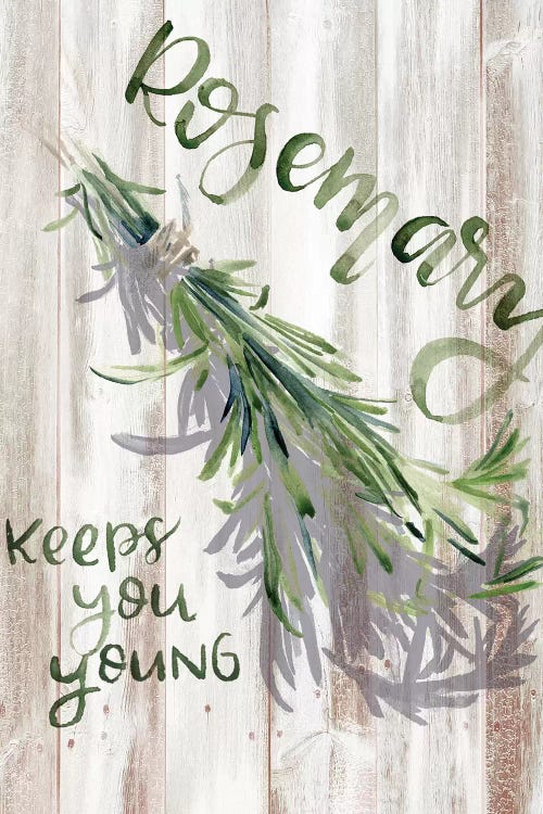 Green Witch I by Jennifer Paxton Parker wall art