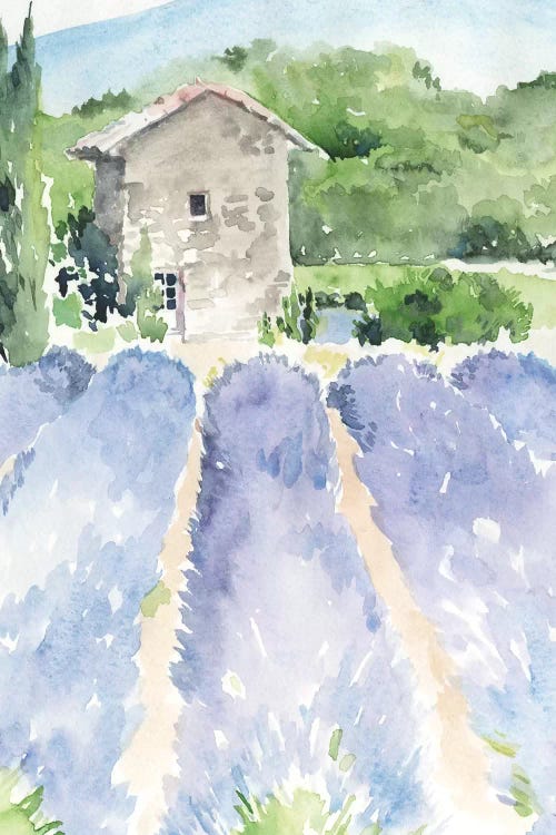 Lavender Fields I by Jennifer Paxton Parker wall art