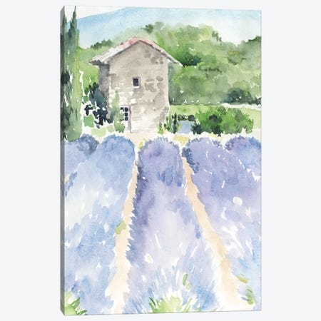 Lavender Fields I Canvas Print #JPP222} by Jennifer Paxton Parker Canvas Art
