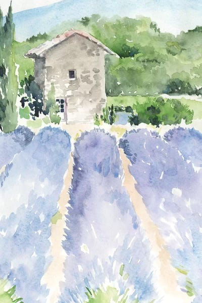 Countrysides: Lavender Fields I by Jennifer Paxton Parker