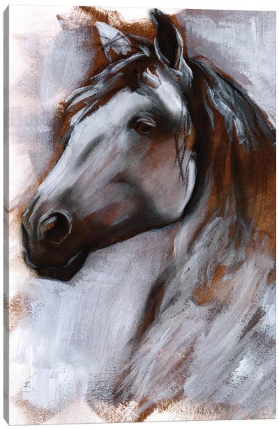 Mane Attraction I Canvas Art Print - Horse Art