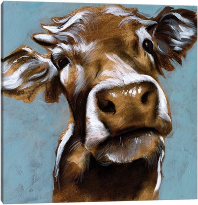 Cow Kisses I Canvas Art Print - Cow Art