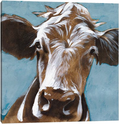 Cow Kisses II Canvas Art Print - Jennifer Paxton Parker